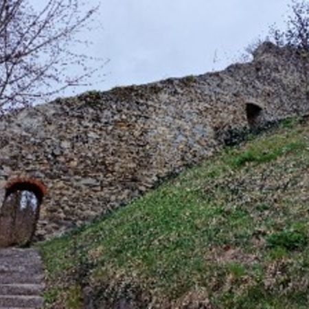 Schlossbergmauer Bruck Mur